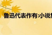 魯迅代表作有:小說集有什么（魯迅代表作）