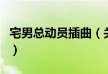 宅男總動(dòng)員插曲（關(guān)于宅男總動(dòng)員插曲的介紹）