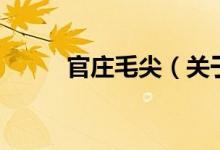 官莊毛尖（關(guān)于官莊毛尖的介紹）