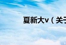 夏新大v（關(guān)于夏新大v的介紹）