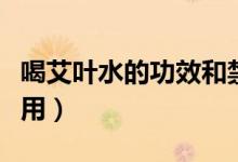 喝艾葉水的功效和禁忌（喝艾葉水的功效與作用）