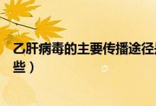 乙肝病毒的主要傳播途徑是（乙肝病毒的主要傳播途徑有哪些）