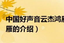 中國好聲音云杰鴻雁（關(guān)于中國好聲音云杰鴻雁的介紹）