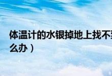 體溫計(jì)的水銀掉地上找不到怎么辦（體溫計(jì)的水銀掉地上怎么辦）