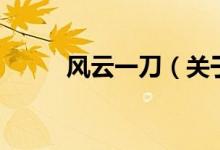 風(fēng)云一刀（關(guān)于風(fēng)云一刀的介紹）