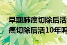 早期肺癌切除后活10年費(fèi)用是多少（早期肺癌切除后活10年嗎）