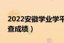 2022安徽學(xué)業(yè)學(xué)平考試成績(jī)查詢時(shí)間（哪天查成績(jī)）