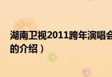 湖南衛(wèi)視2011跨年演唱會（關(guān)于湖南衛(wèi)視2011跨年演唱會的介紹）