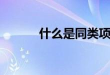 什么是同類項(xiàng)（什么是同類項(xiàng)）