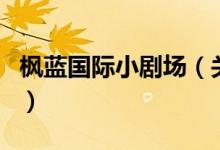 楓藍國際小劇場（關于楓藍國際小劇場的介紹）