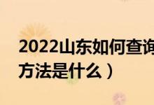 2022山東如何查詢高考志愿檔案狀態(tài)（查詢方法是什么）