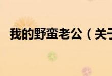 我的野蠻老公（關(guān)于我的野蠻老公的介紹）