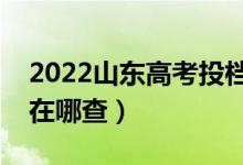 2022山東高考投檔狀態(tài)查詢?nèi)肟冢ㄍ稒n情況在哪查）