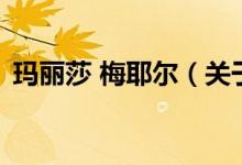 瑪麗莎 梅耶爾（關(guān)于瑪麗莎 梅耶爾的介紹）