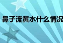 鼻子流黃水什么情況（鼻子流黃水什么原因）