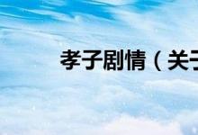 孝子劇情（關(guān)于孝子劇情的介紹）