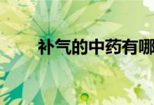 補(bǔ)氣的中藥有哪幾種（補(bǔ)氣的中藥）