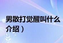 男散打覺醒叫什么（關(guān)于男散打覺醒叫什么的介紹）