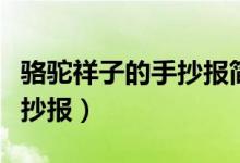 駱駝祥子的手抄報(bào)簡(jiǎn)單又漂亮（駱駝祥子的手抄報(bào)）