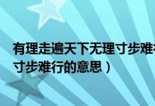 有理走遍天下無(wú)理寸步難行類似的句子（有理走遍天下無(wú)理寸步難行的意思）