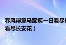 春風(fēng)得意馬蹄疾一日看盡長(zhǎng)安花全詩(shī)（春風(fēng)得意馬蹄疾 一日看盡長(zhǎng)安花）
