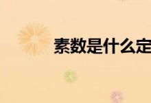素數(shù)是什么定義（素數(shù)是什么）