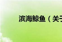 濱海鯨魚(yú)（關(guān)于濱海鯨魚(yú)的介紹）