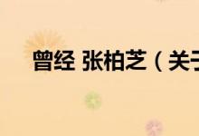 曾經(jīng) 張柏芝（關(guān)于曾經(jīng) 張柏芝的介紹）