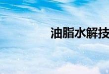 油脂水解技術（油脂水解）