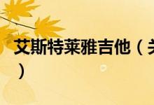 艾斯特萊雅吉他（關(guān)于艾斯特萊雅吉他的介紹）
