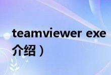 teamviewer exe（關(guān)于teamviewer exe的介紹）