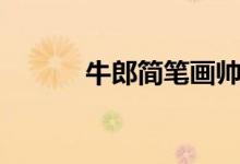 牛郎簡(jiǎn)筆畫帥氣（牛郎簡(jiǎn)筆畫）