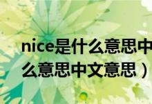 nice是什么意思中文翻譯怎么讀（nice是什么意思中文意思）
