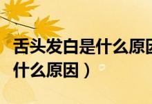 舌頭發(fā)白是什么原因引起的兒童（舌頭發(fā)白是什么原因）