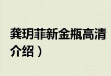 龔玥菲新金瓶高清（關于龔玥菲新金瓶高清的介紹）