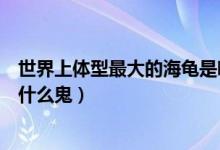 世界上體型最大的海龜是哪一個(gè)（世界上體型最大的海龜是什么鬼）