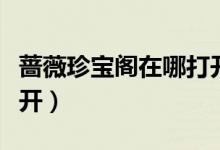 薔薇珍寶閣在哪打開(kāi)最新（薔薇珍寶閣在哪打開(kāi)）