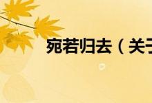 宛若歸去（關(guān)于宛若歸去的介紹）