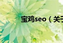 寶雞seo（關(guān)于寶雞seo的介紹）