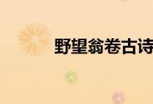 野望翁卷古詩(shī)翻譯（野望翁卷）