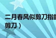 二月春風(fēng)似剪刀指的是什么（什么二月春風(fēng)似剪刀）