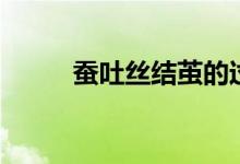 蠶吐絲結(jié)繭的過程（蠶吐絲圖片）