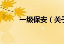 一級(jí)保安（關(guān)于一級(jí)保安的介紹）