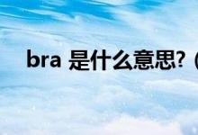 bra 是什么意思?（bra是什么時候意思）