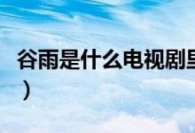 谷雨是什么電視劇里面的（谷雨是什么意思呢）