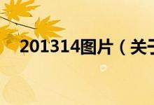 201314圖片（關(guān)于201314圖片的介紹）