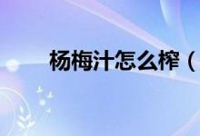 楊梅汁怎么榨（楊梅汁怎么洗得掉）