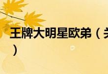 王牌大明星歐弟（關(guān)于王牌大明星歐弟的介紹）