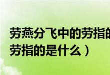 勞燕分飛中的勞指的是什么鳥（勞燕分飛中的勞指的是什么）