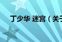 丁少華 迷宮（關(guān)于丁少華 迷宮的介紹）